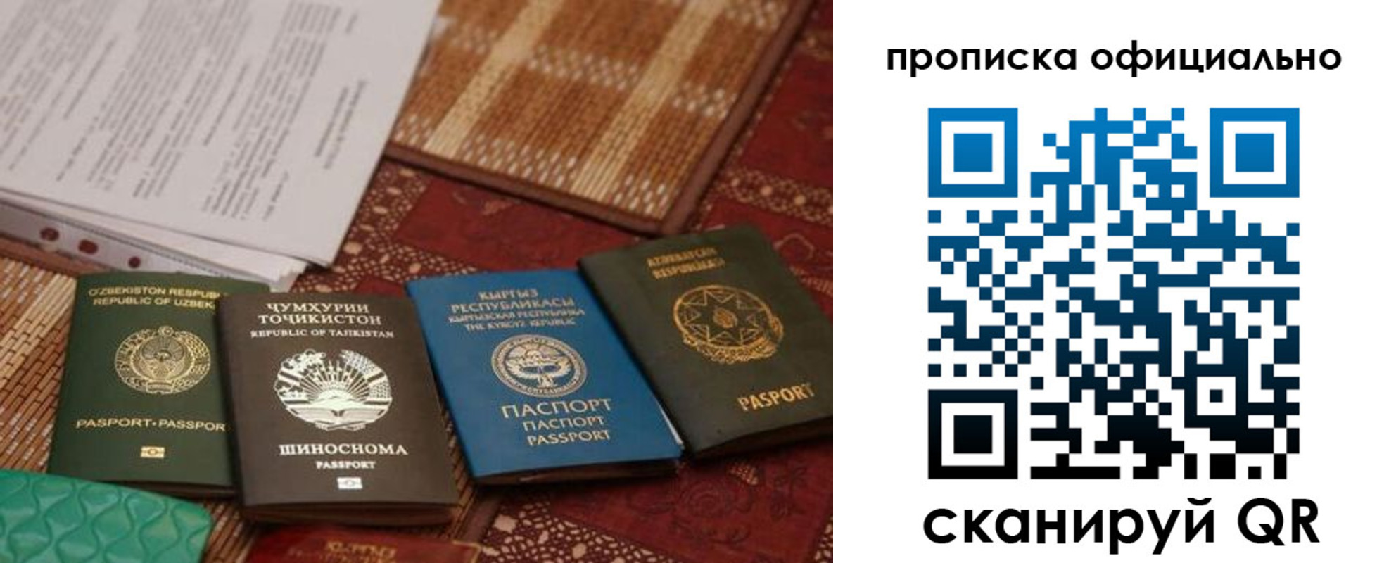 прописка регистрация в Сальске
